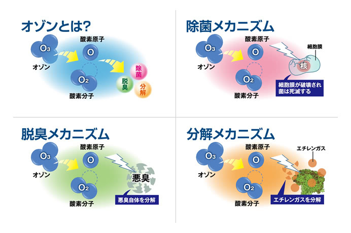 高濃度酸素カプセル&ペット専用酸素カプセル